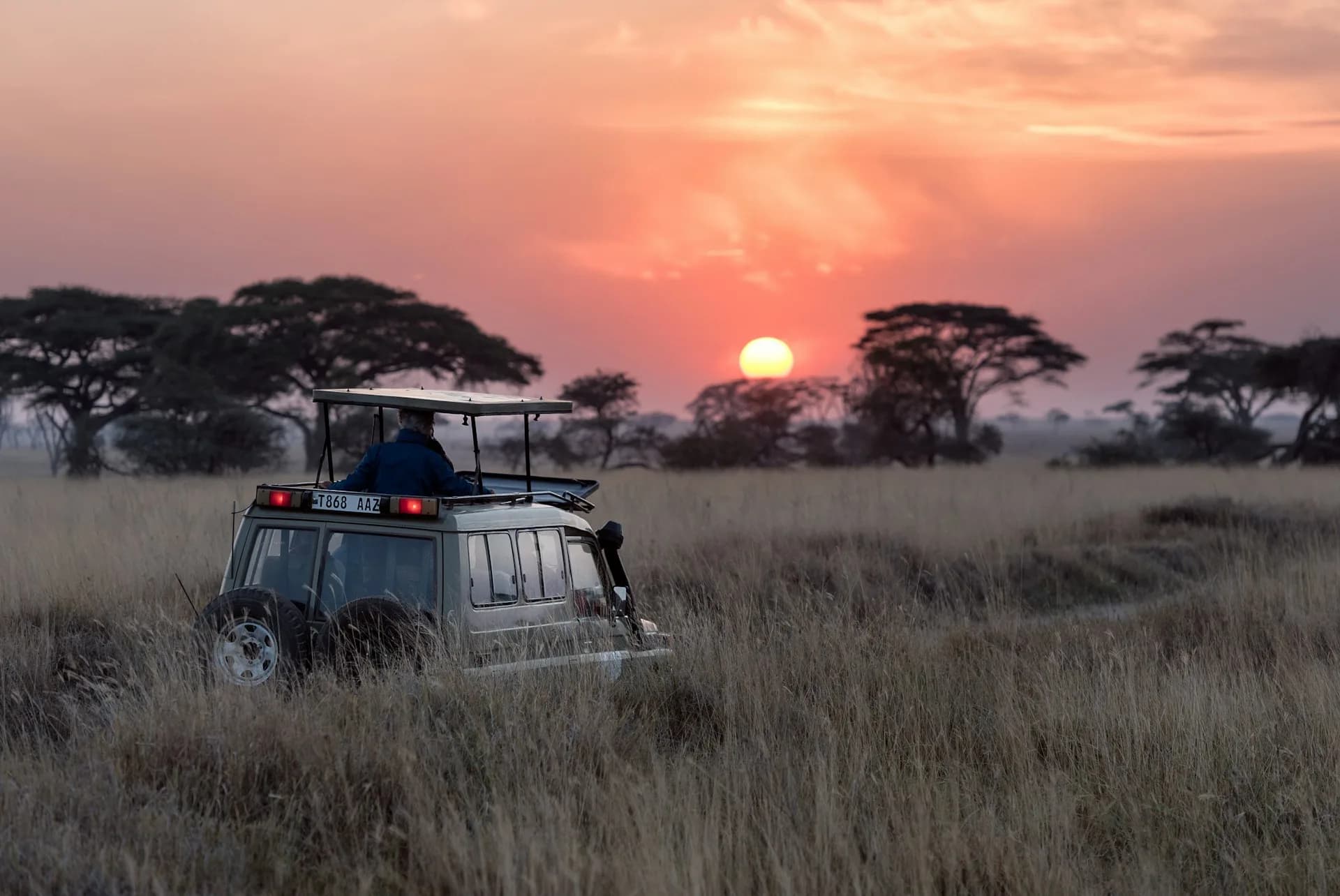 Kenya Honeymoon Safari: The Complete 2026 Planning Guide