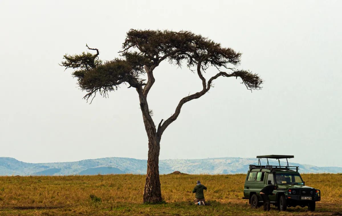 7-Day Kenya Safari Itinerary: The Classic Week in the Wild